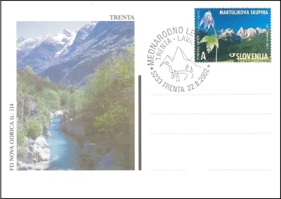 MEDNARODNO LETO GORA